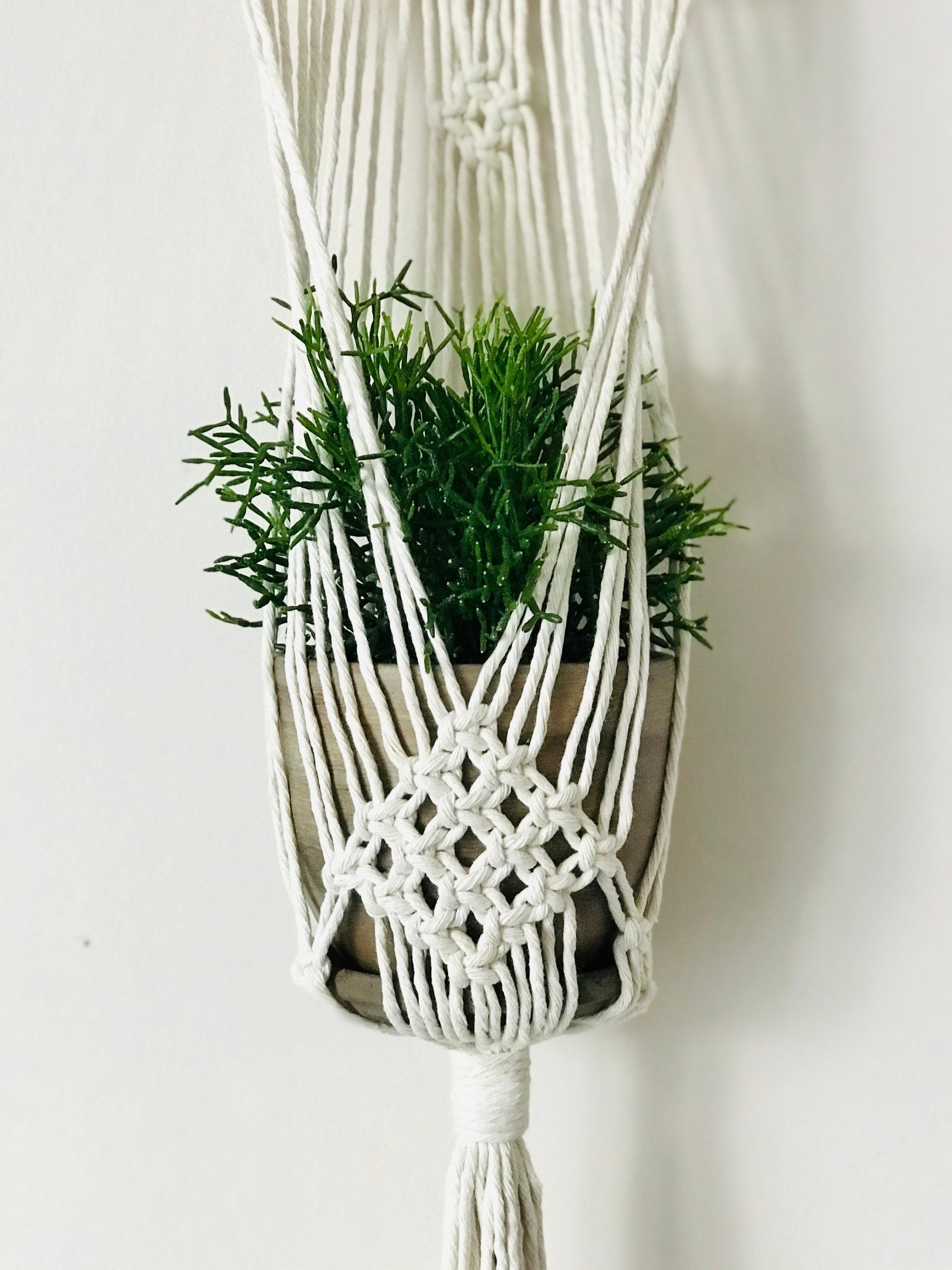 Macrame plant hanger with a plant against a white background