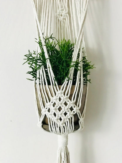 Macrame plant hanger with a plant against a white background