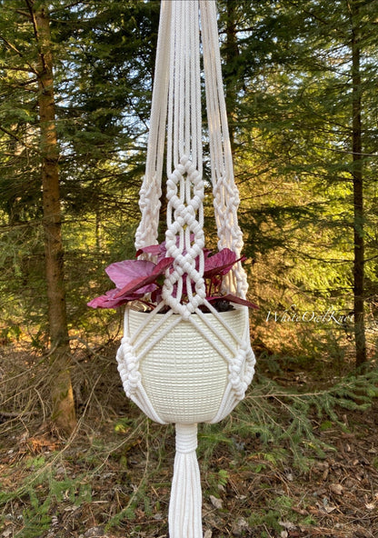 White macrame plant hanger with a pink plant against a forest background
