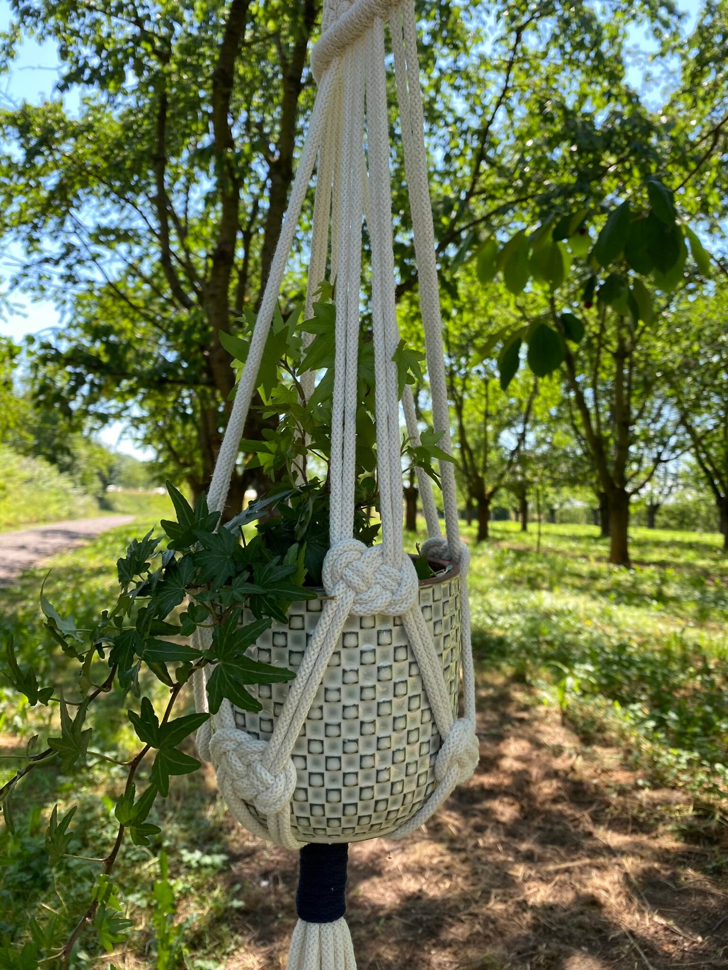 Macrame plant hanger with woven basket against a natural outdoor background