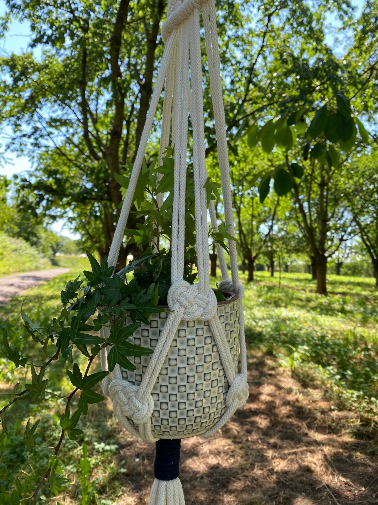 Macrame plant hanger with woven basket against a natural outdoor background