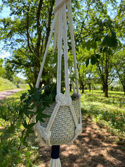 Macrame plant hanger with woven basket against a natural outdoor background