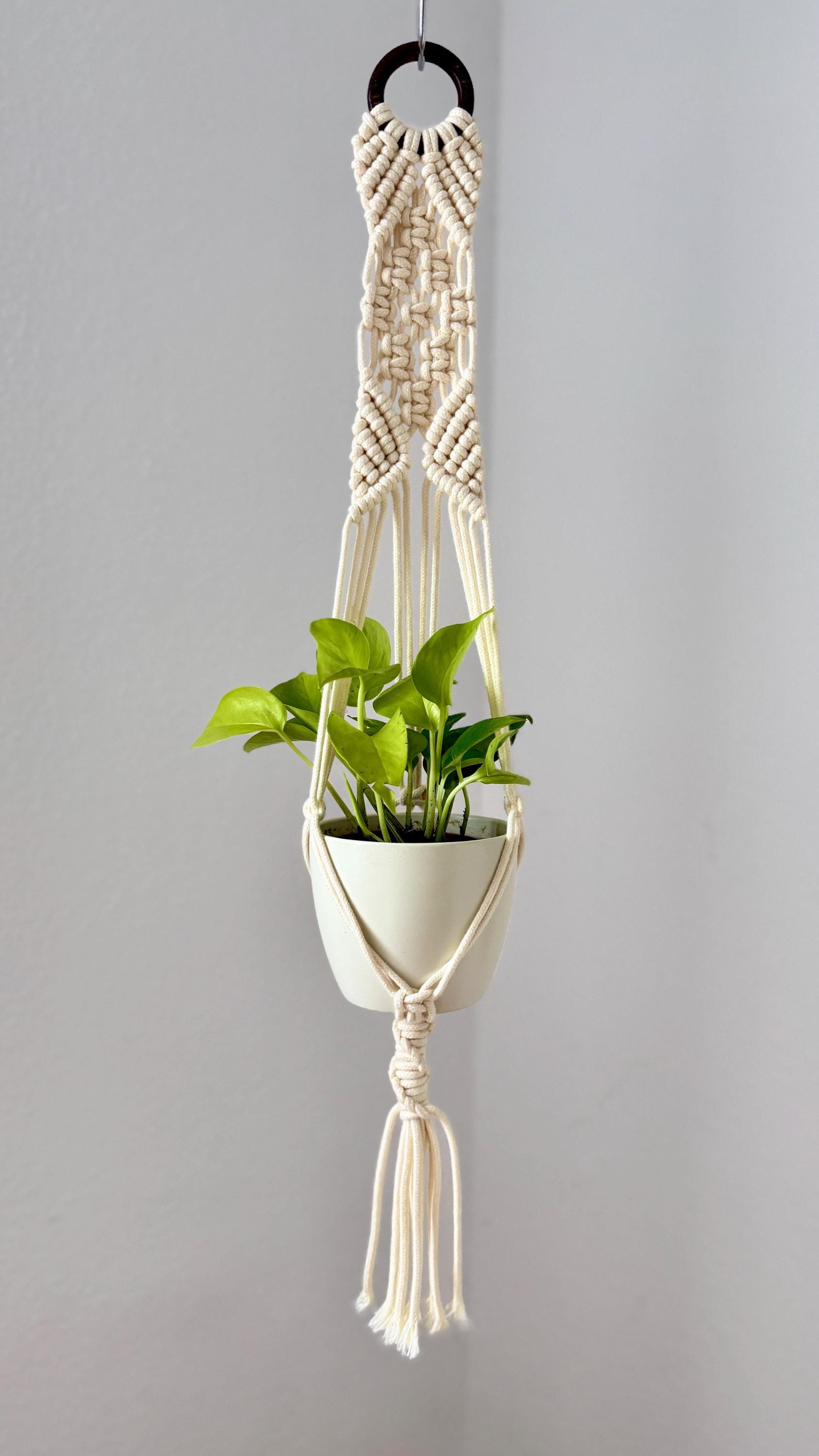 Macrame plant hanger with a green plant against a gray background