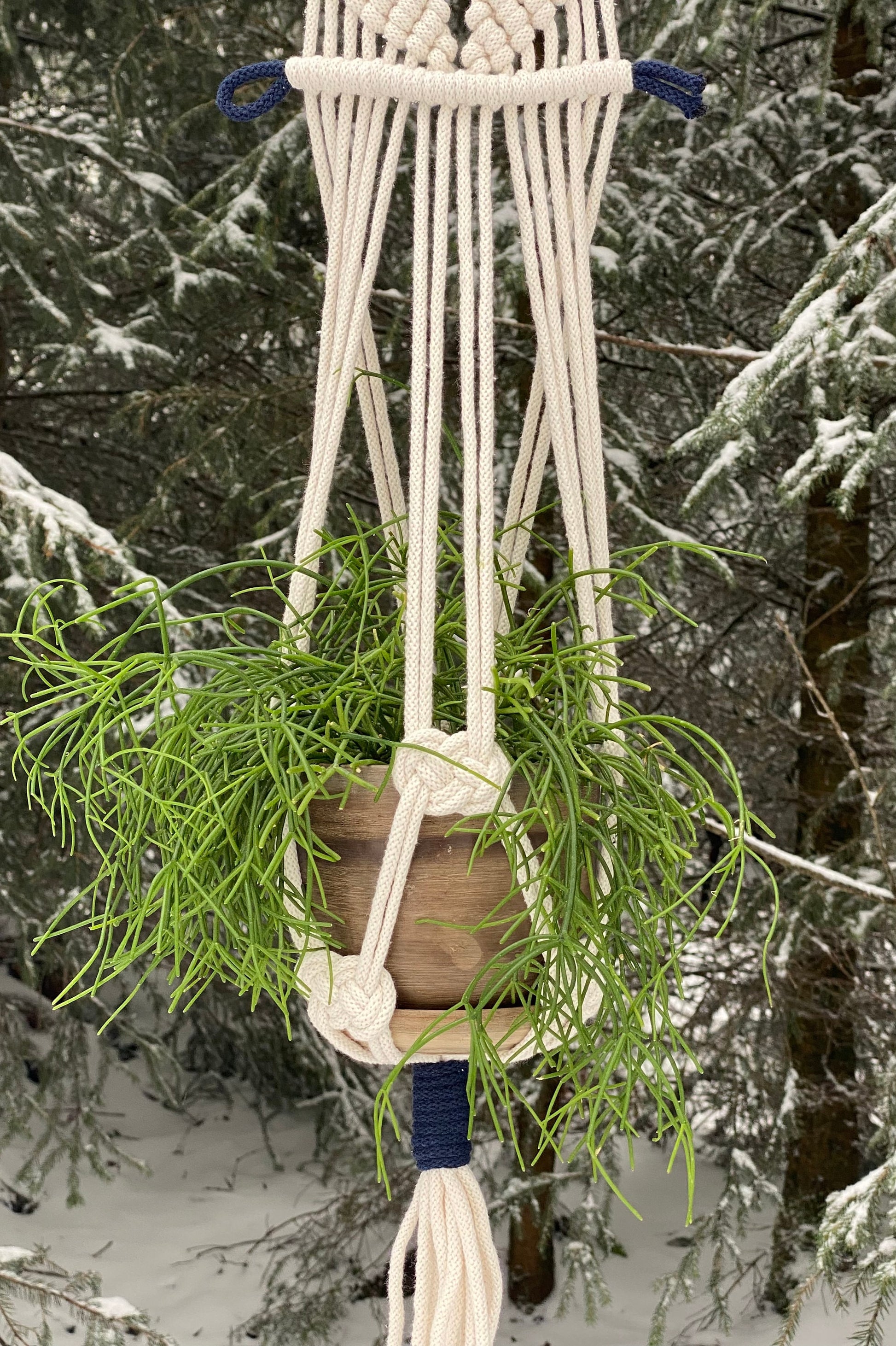 Macrame plant hanger with a plant against a snowy forest background