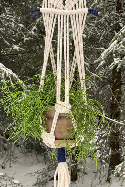 Macrame plant hanger with a plant against a snowy forest background