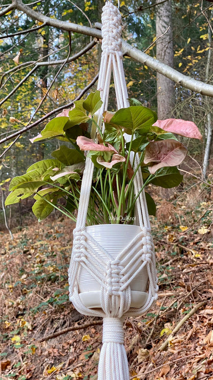 Macrame plant hanger with a potted plant in a forest setting