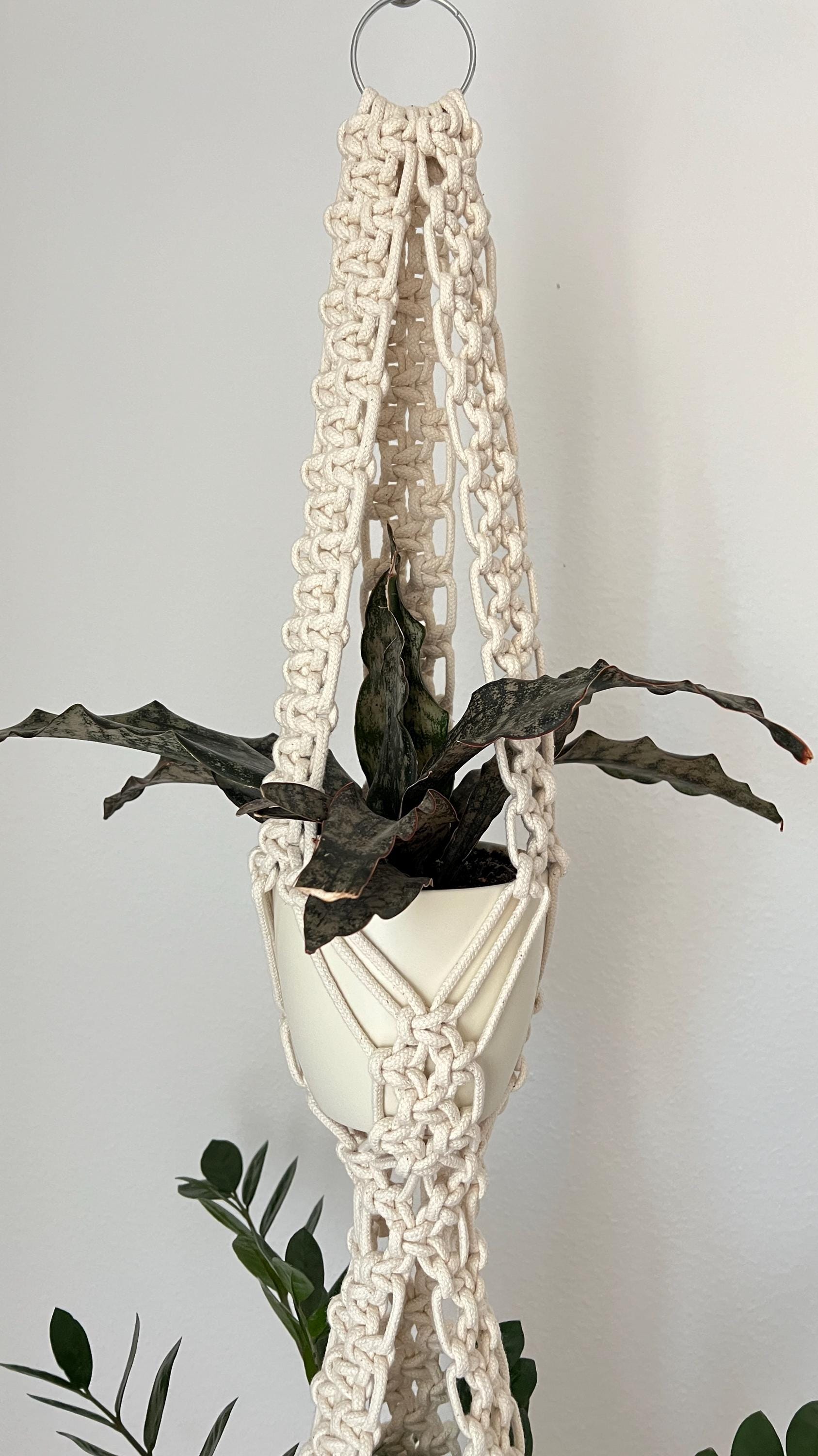 Macrame plant hanger with a plant against a plain background
