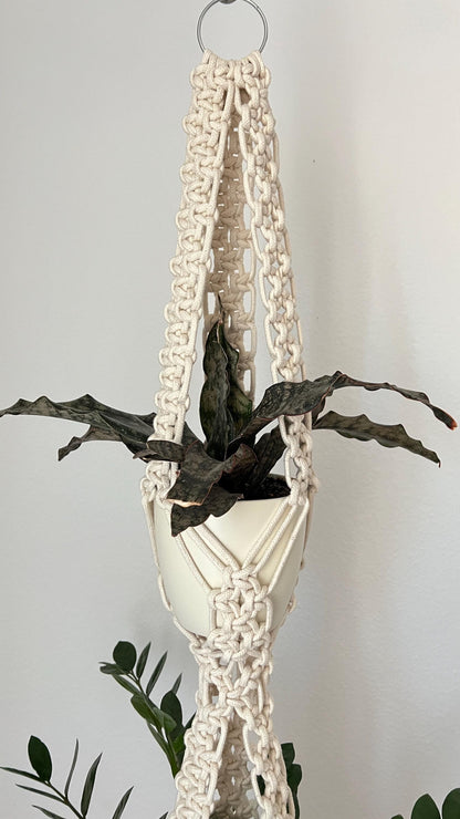 Macrame plant hanger with a plant against a plain background