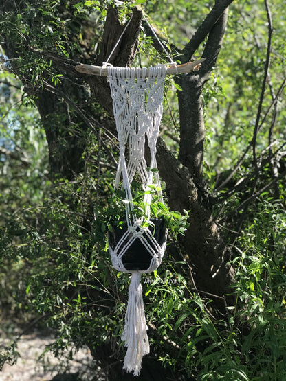 Macrame plant hanger hanging from a tree with green foliage in the background