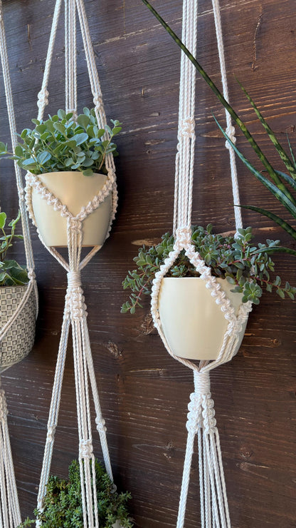Three macrame plant hangers with plants against a wooden wall.