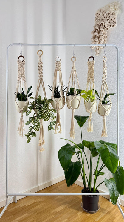 Hanging plants in macrame hangers against a white wall.