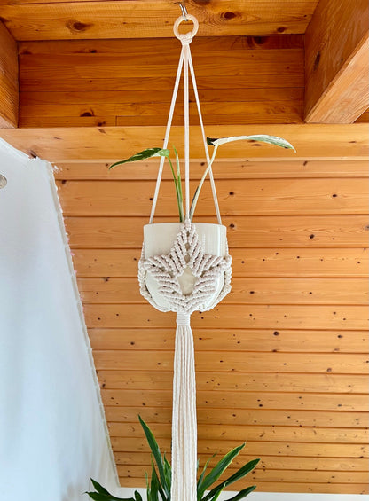 Macrame plant hanger with a plant against a wooden wall.