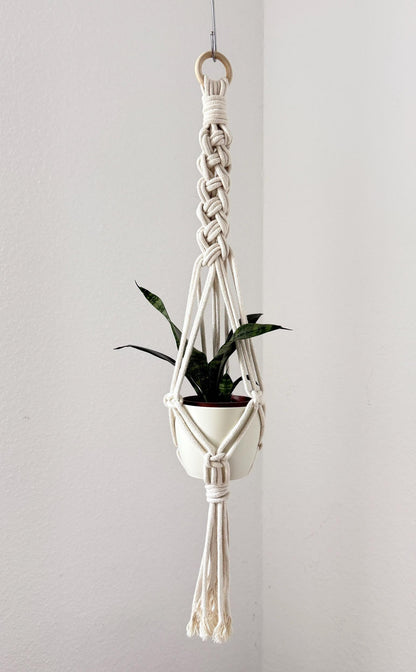 Macrame plant hanger with a plant against a plain wall