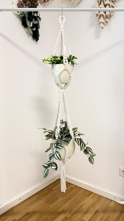 Macrame plant hanger with multiple potted plants against a white wall.
