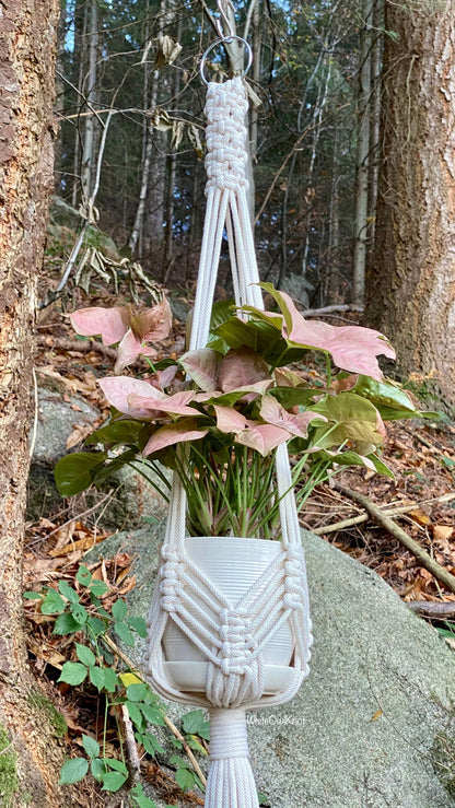 Macrame plant hanger with a plant in a forest setting