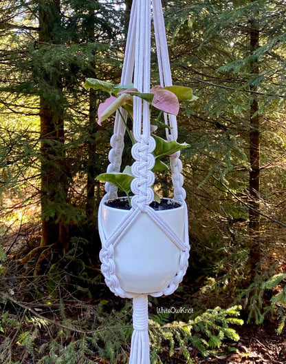 White macrame plant hanger with a plant against a forest background