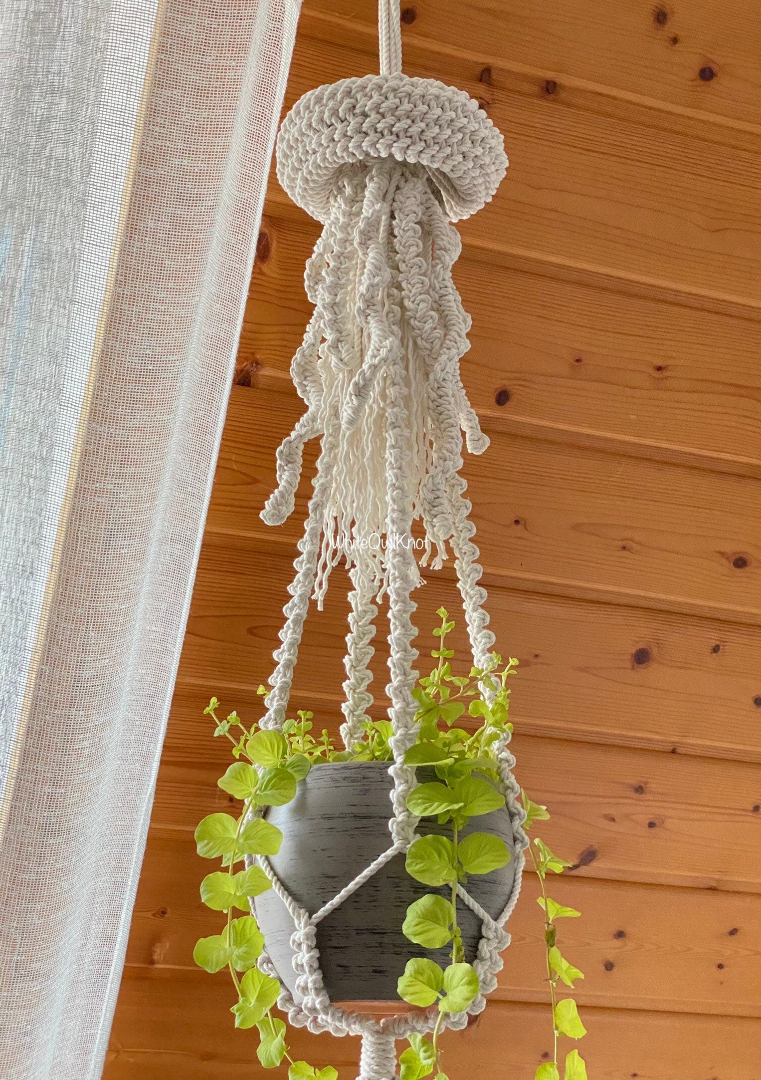 Macrame plant hanger with a plant against a wooden wall
