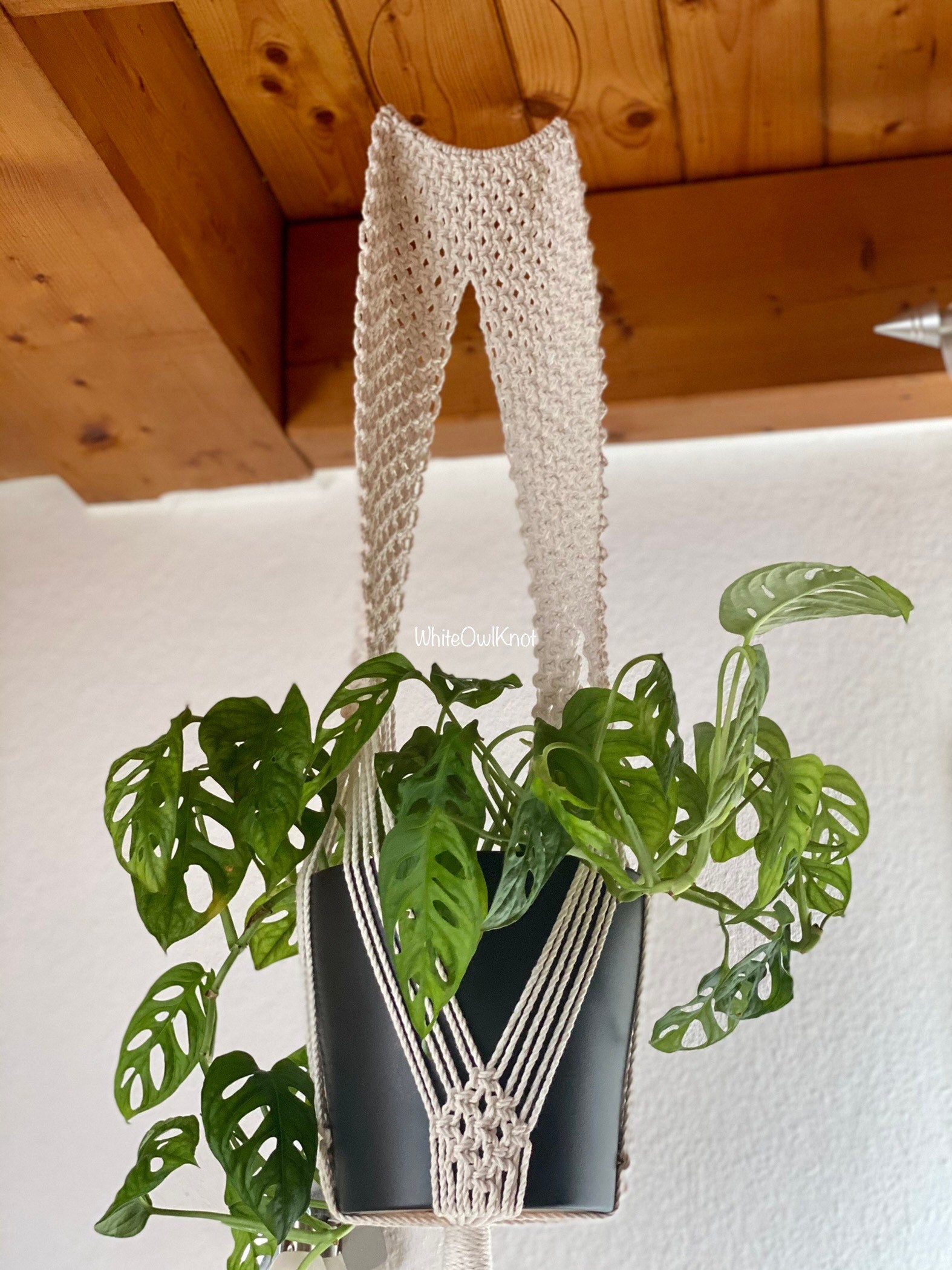 Macrame plant hanger with a plant against a wooden wall.