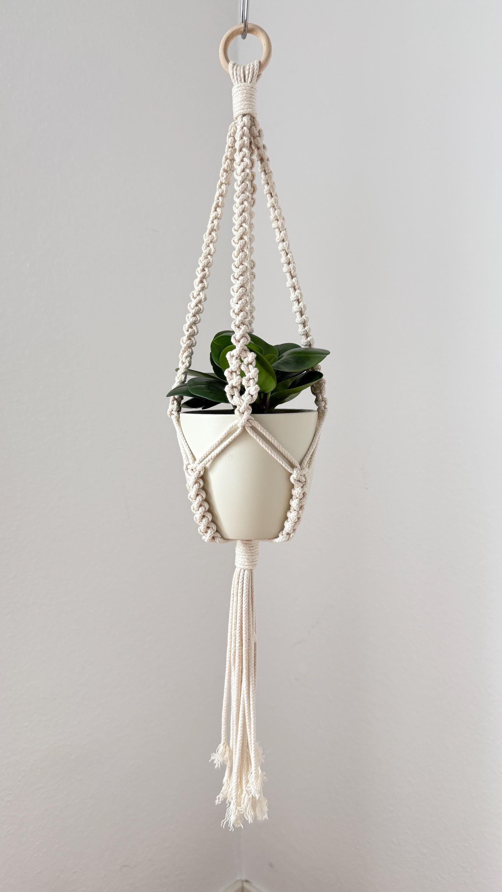 Macrame plant hanger with a pot of green plant on a plain background