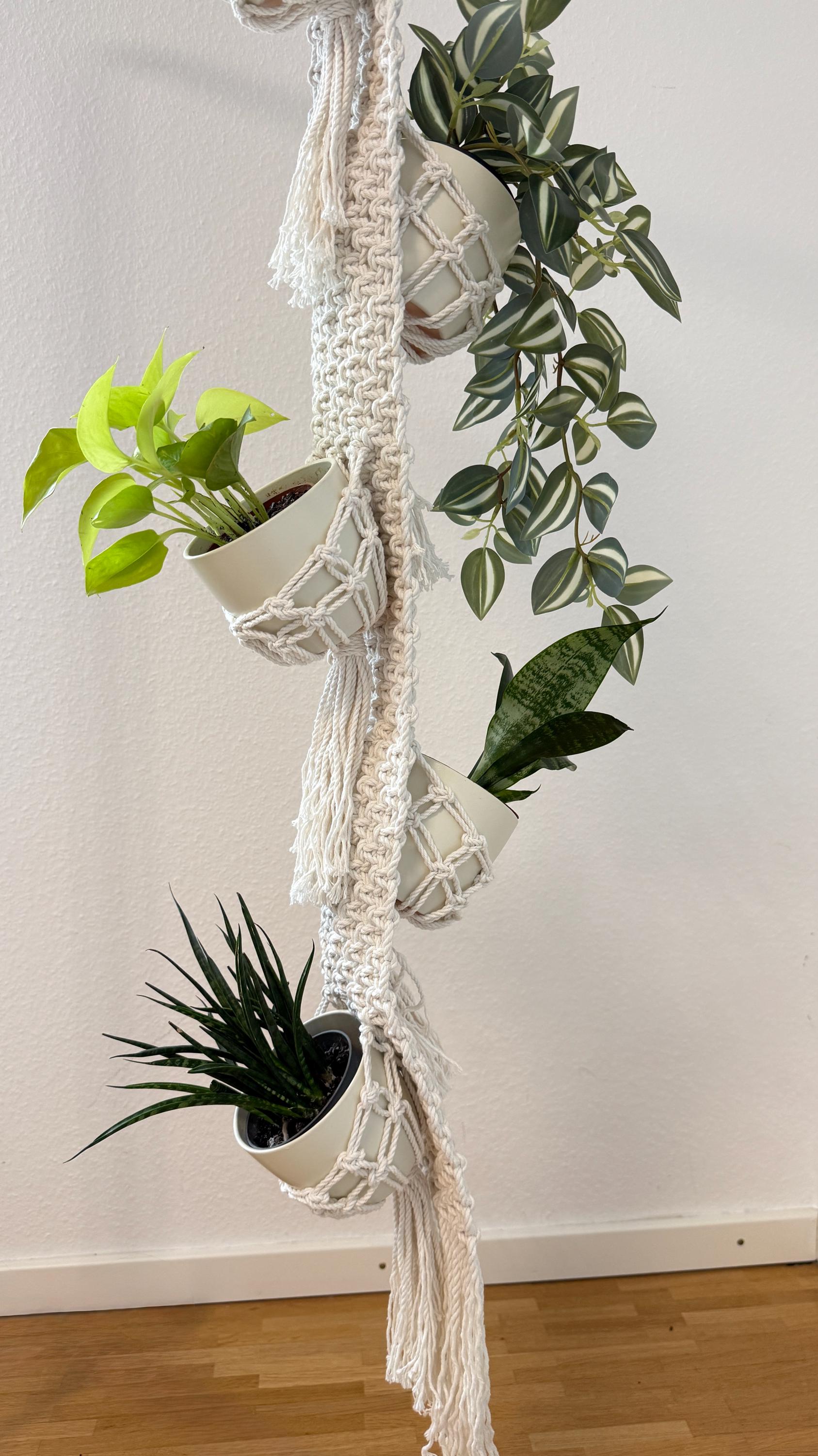 Macrame plant hanger with hanging plants against a white wall.