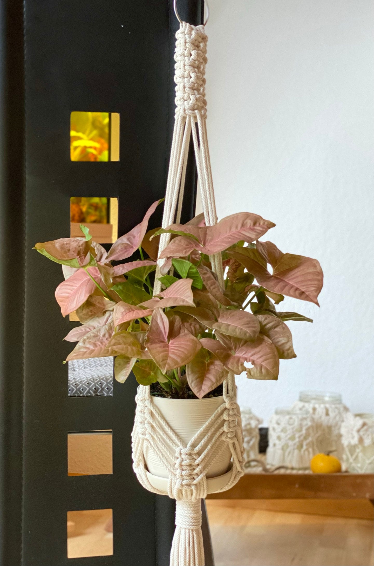 Hanging plant in a macrame holder against a black wall with decorative elements.