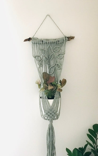 Macrame plant hanger with a plant against a white wall
