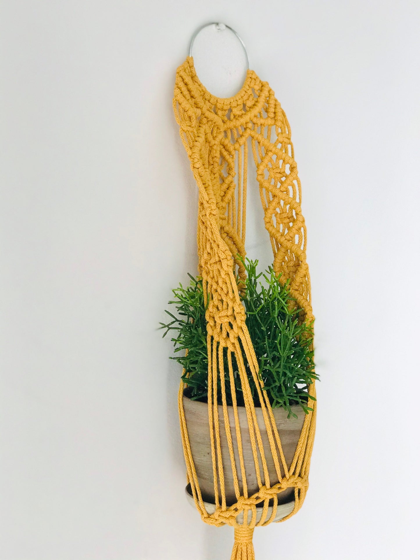 Yellow macrame plant hanger with a plant on a white background