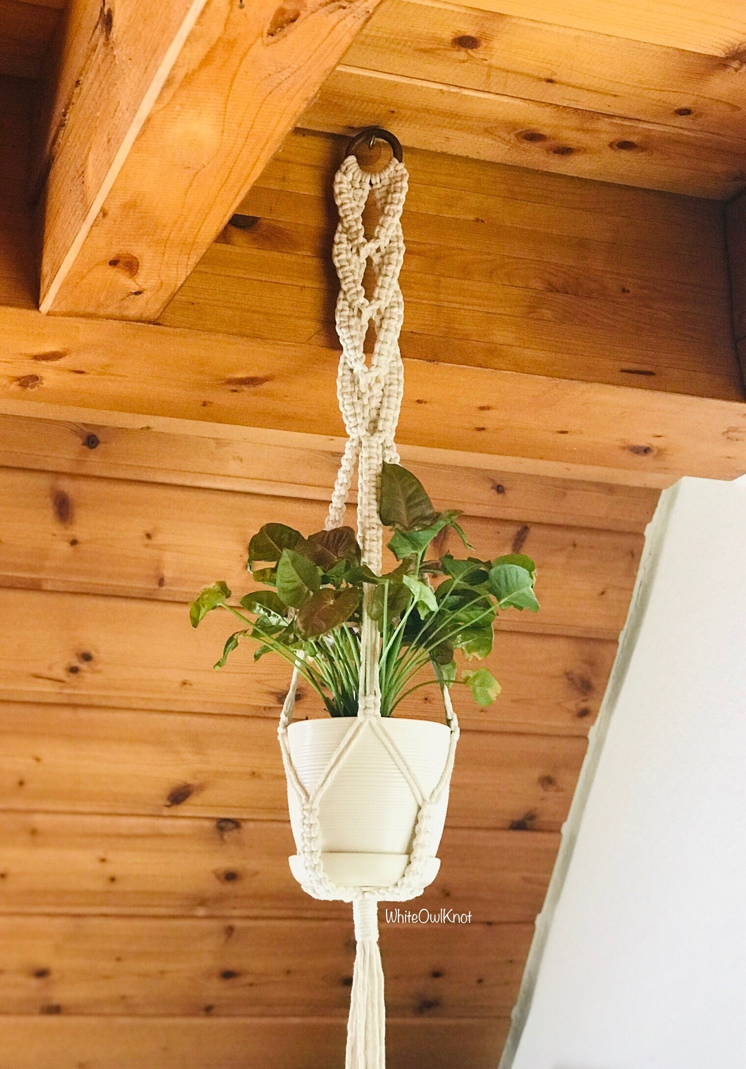 Macrame plant hanger with a plant against a wooden wall.