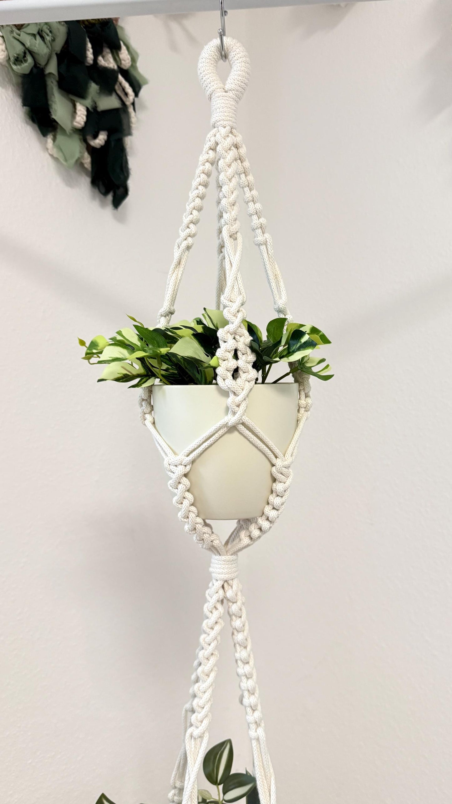 Macrame plant hanger with a potted plant on a white background