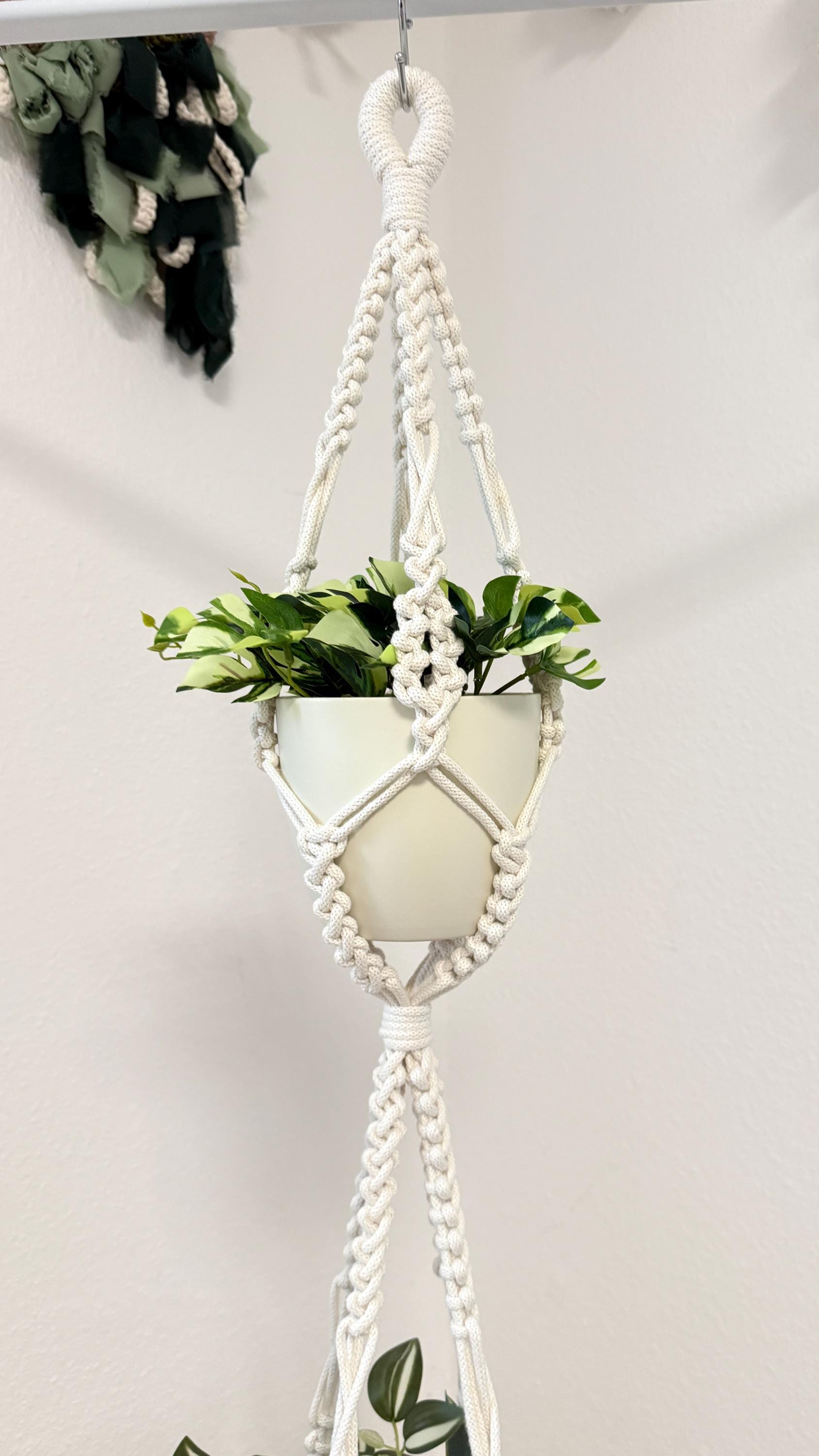 Macrame plant hanger with a potted plant on a white background