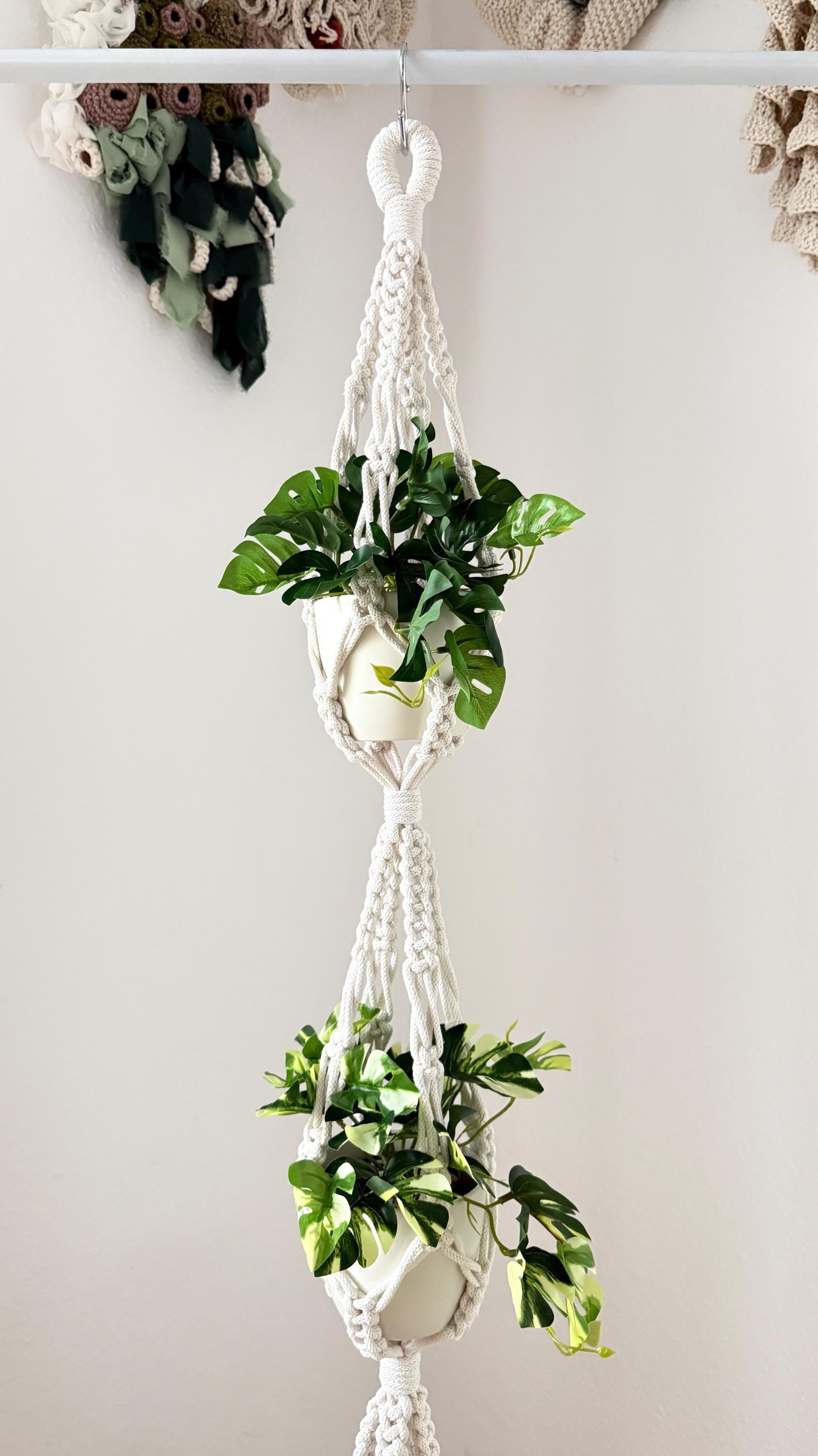 Macrame plant hanger with green plants against a white wall