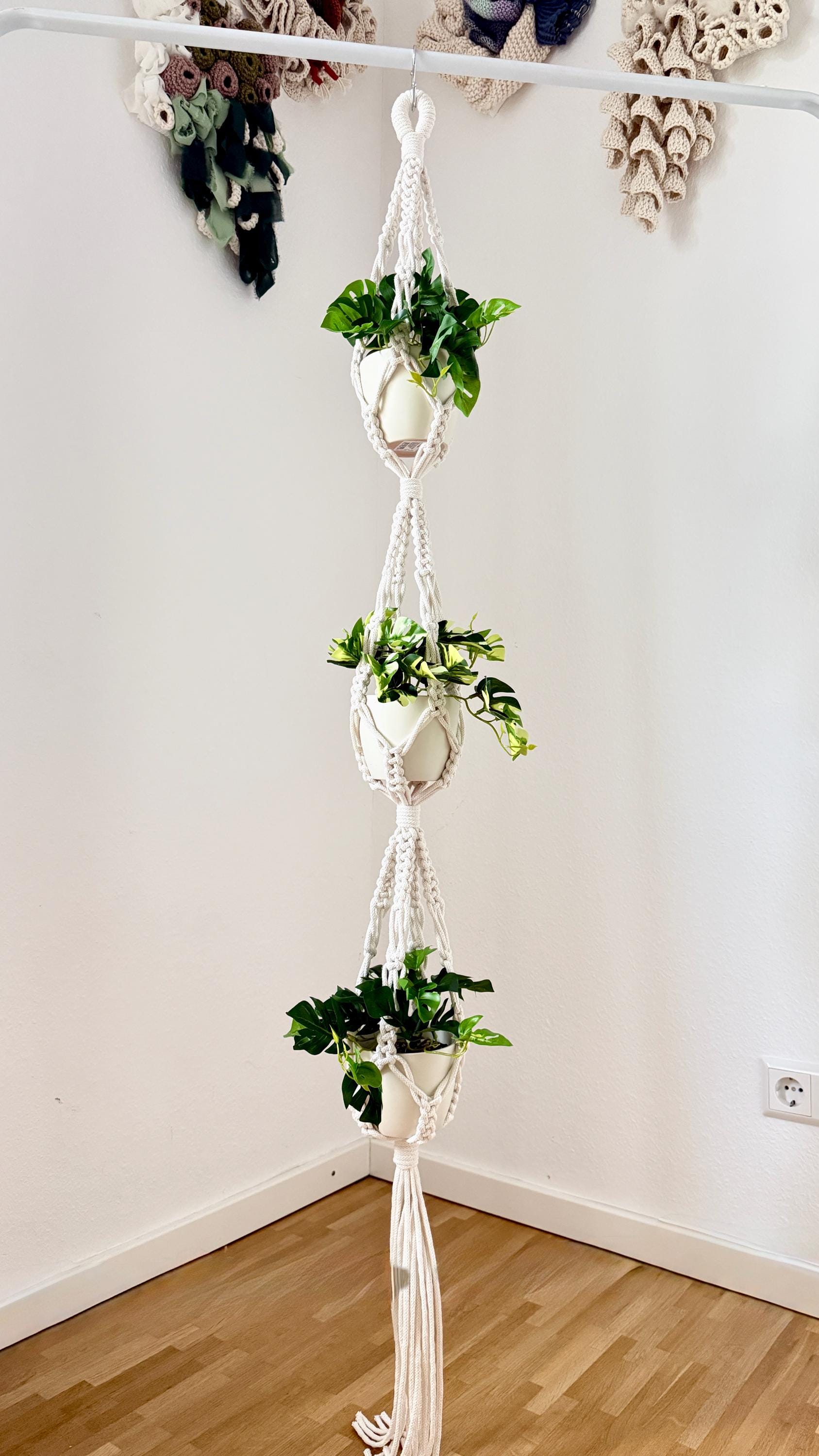 Macrame plant hanger with multiple plant pots against a white wall.