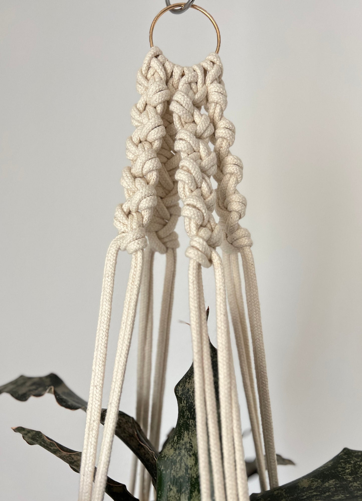 Macrame plant hanger with natural ropes on a neutral background