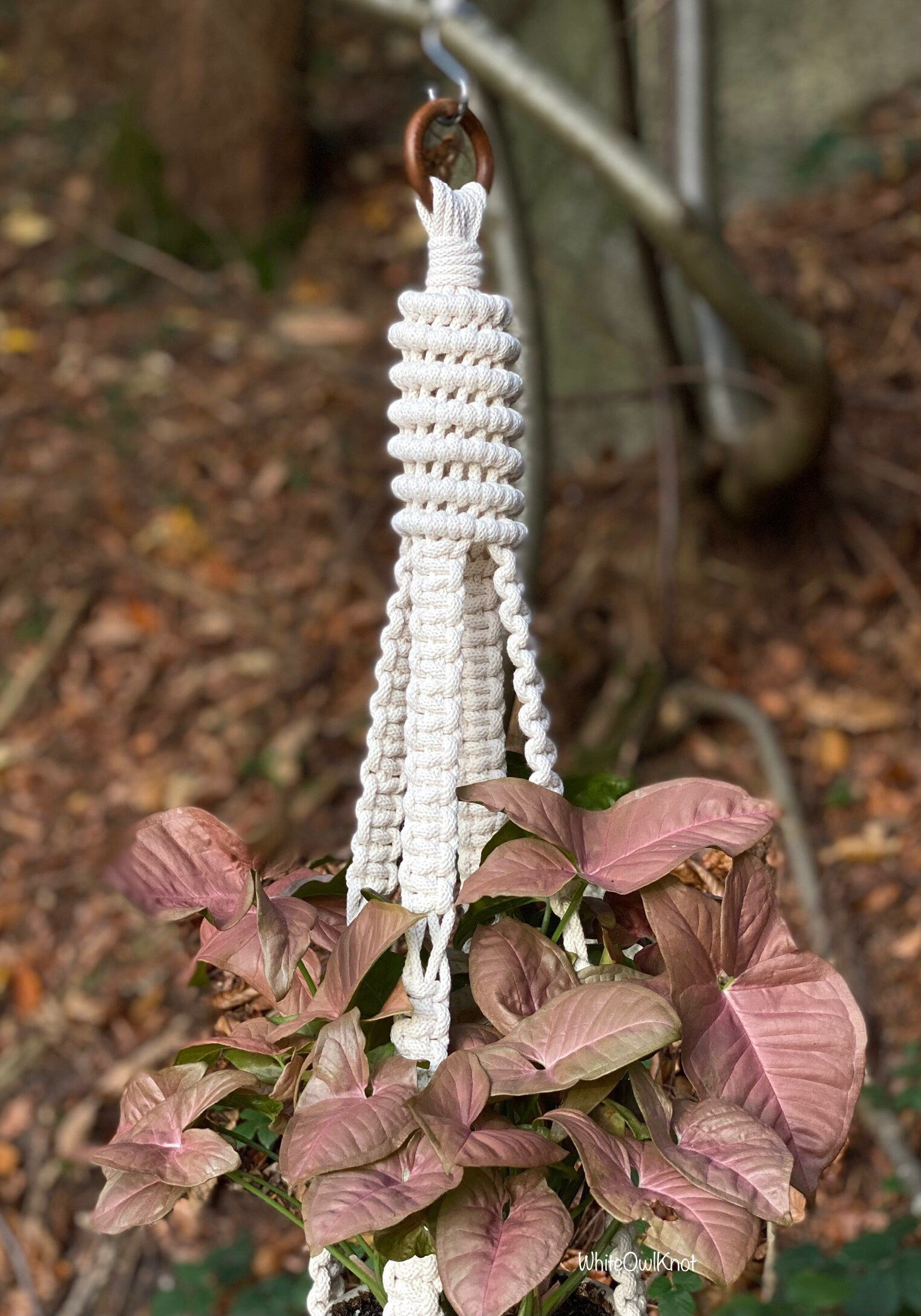 Macrame plant hanger with a pink leafed plant against a natural background