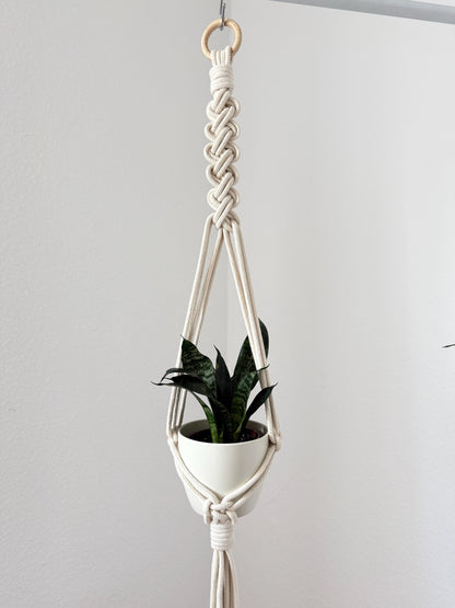 Macrame plant hanger with a potted plant against a plain background