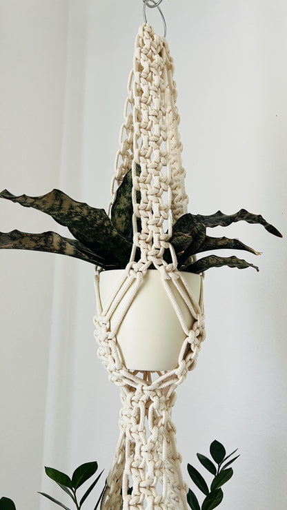 Macrame plant hanger with potted plant against a white background
