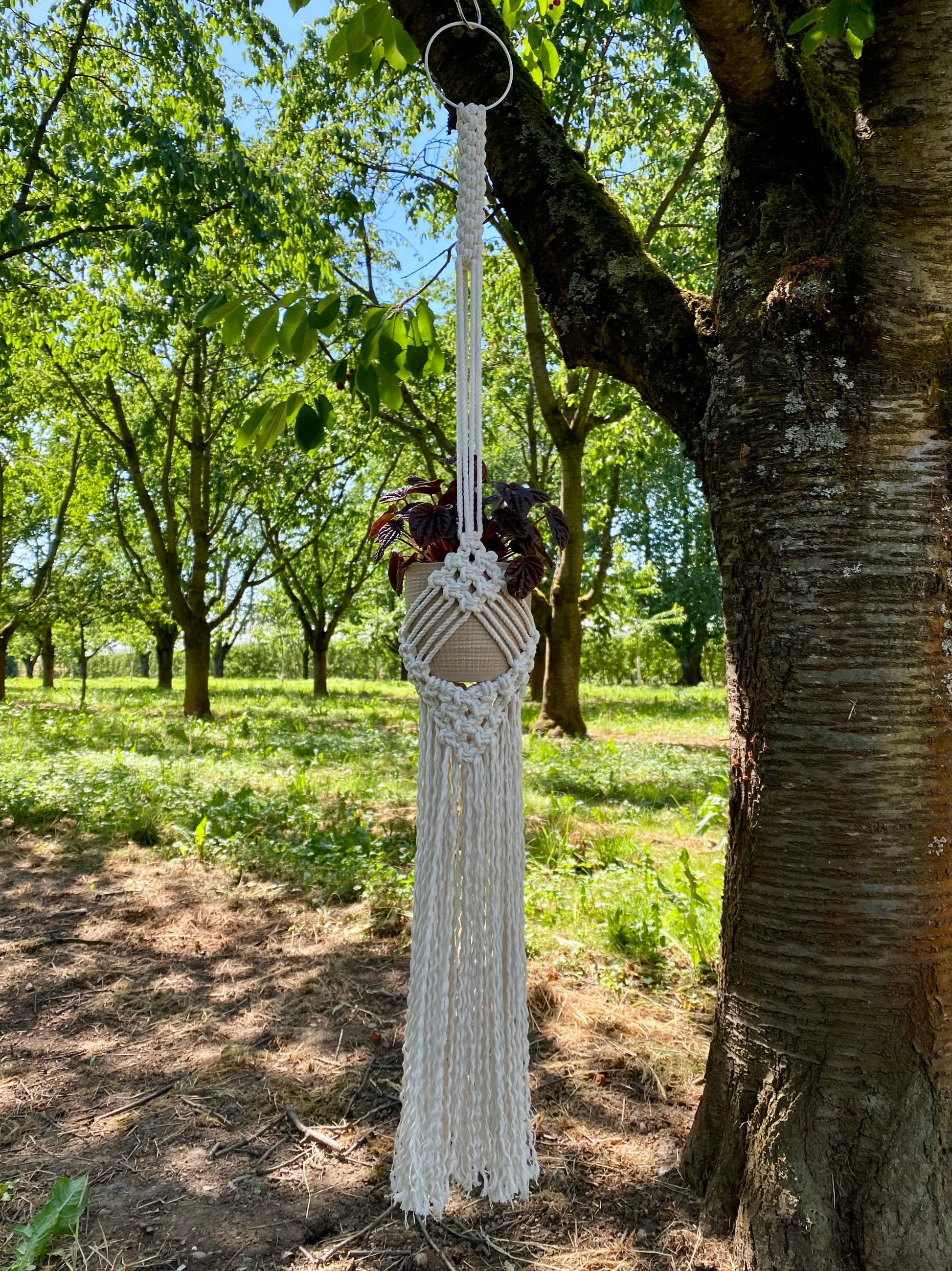 Macrame hanging decor hanging from a tree in a forest setting