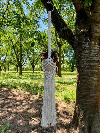 Macrame hanging decor hanging from a tree in a forest setting