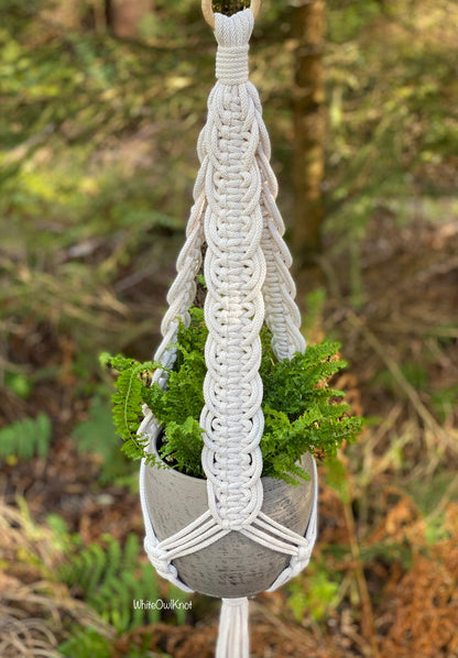 Macrame plant hanger with a potted plant against a natural background