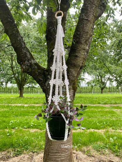 White macrame plant hanger with a plant hanging from a tree in an outdoor setting.