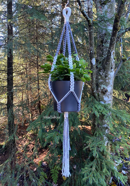 Macrame plant hanger with a plant in a forest setting