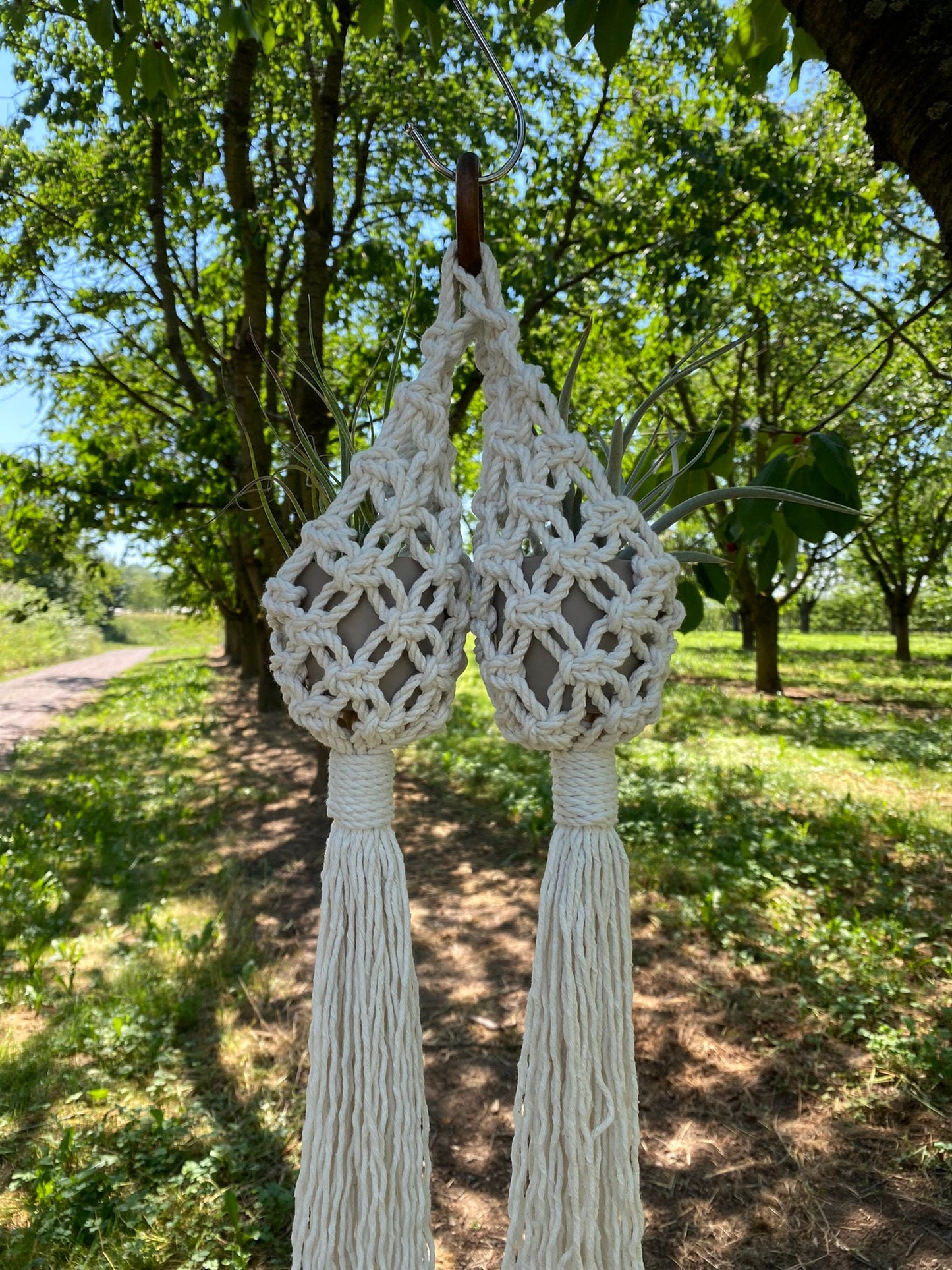 Two macrame plant hangers hanging from a tree in an outdoor setting.