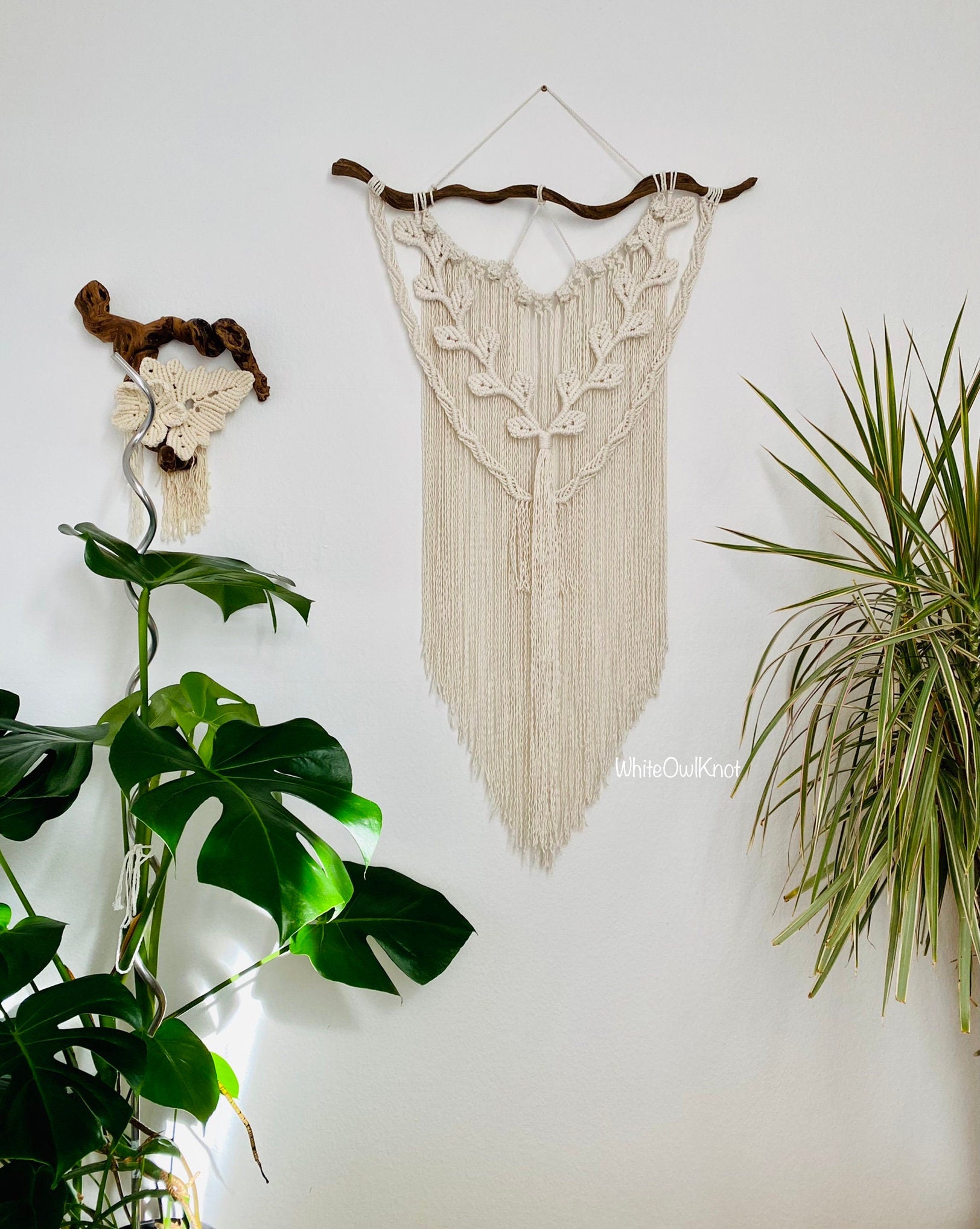 Macrame wall hanging on a white wall with plants