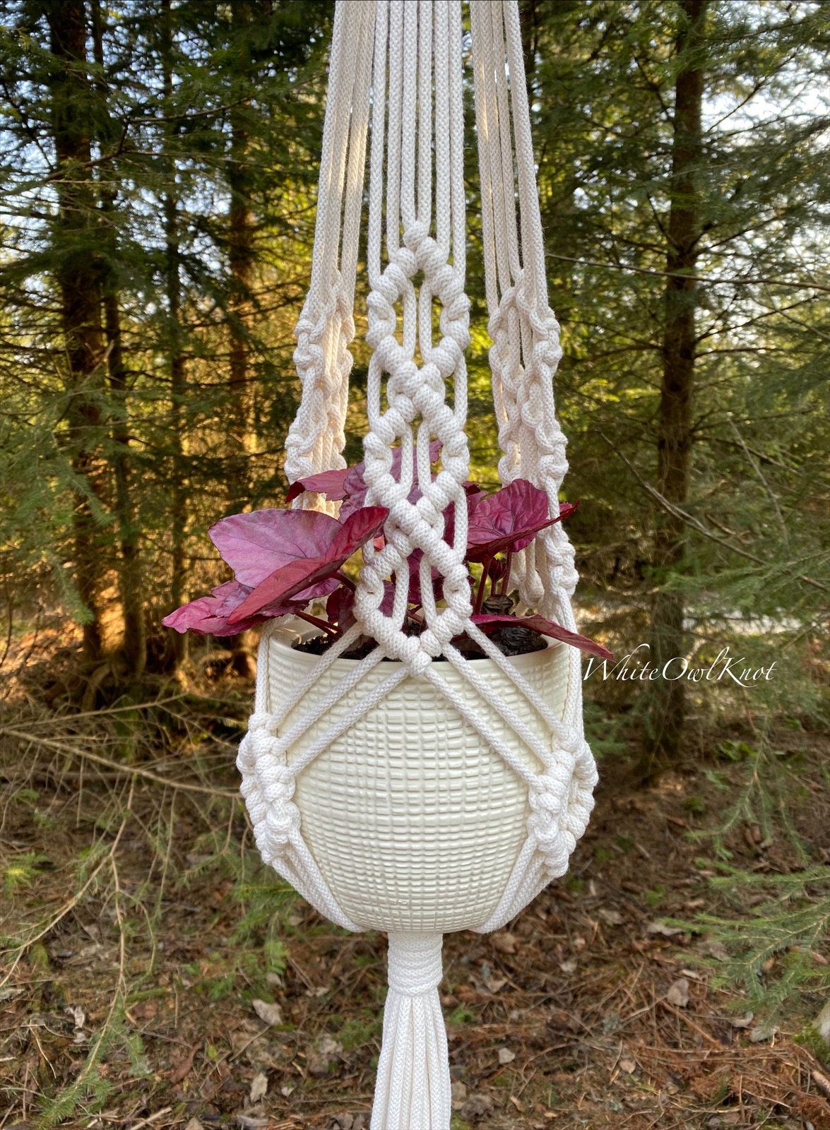 Macrame plant hanger with a plant against a forest background