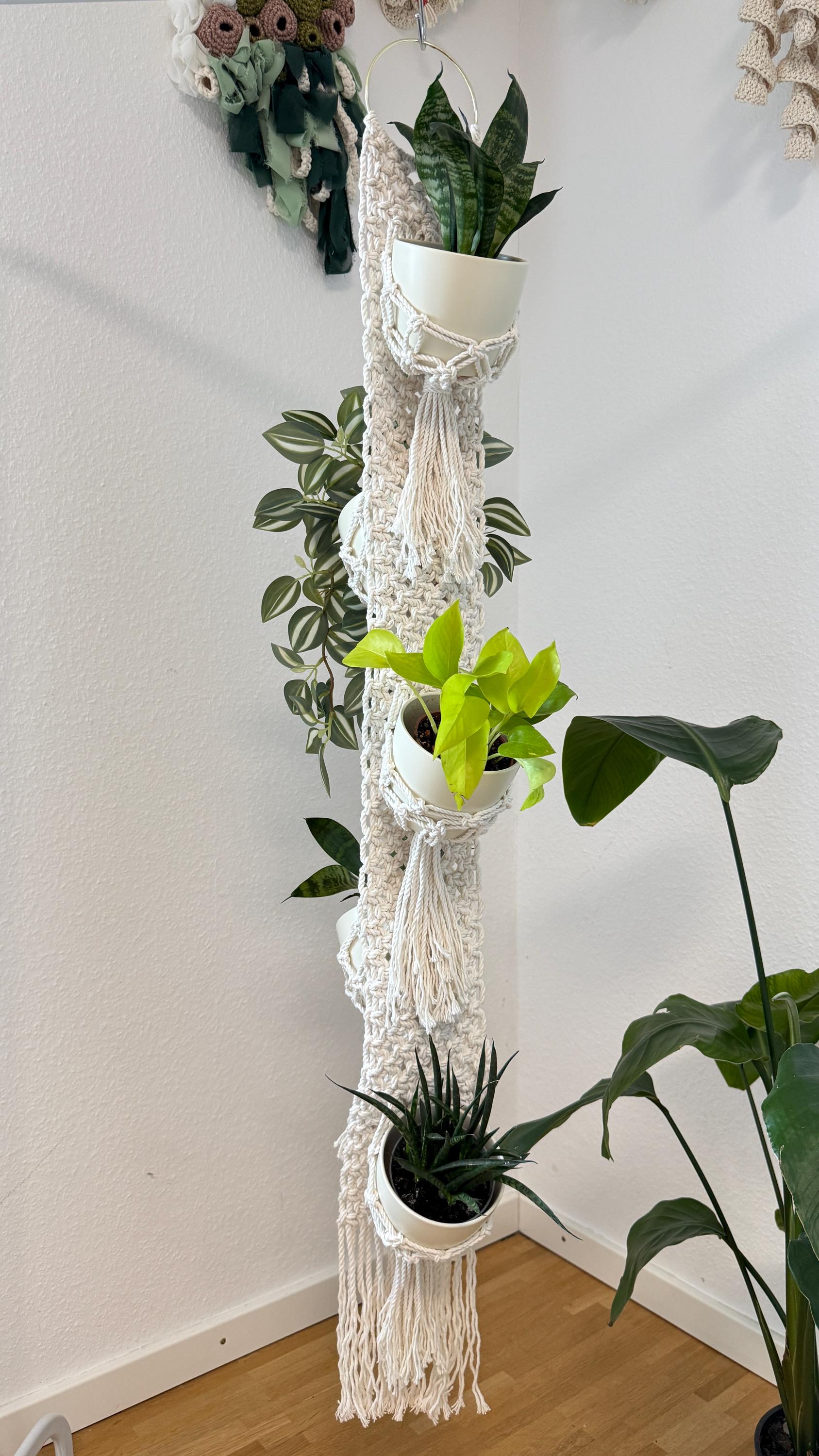 Macrame plant hanger with multiple plants against a white wall.