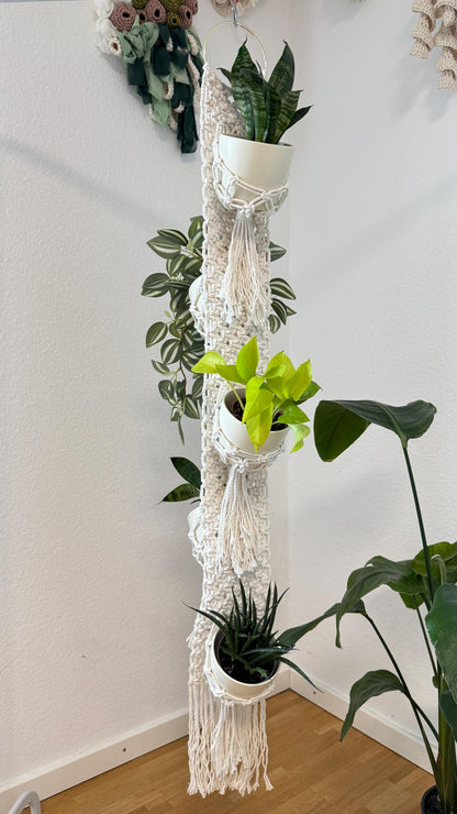 Macrame plant hanger with multiple plants against a white wall.