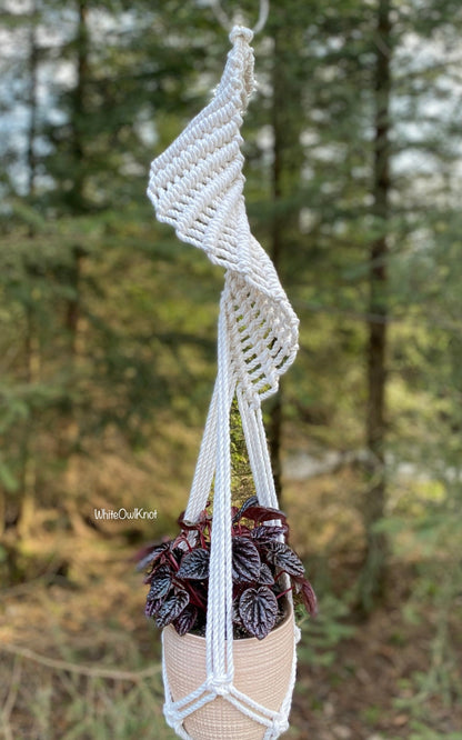 Macrame plant hanger with a plant against a forest background