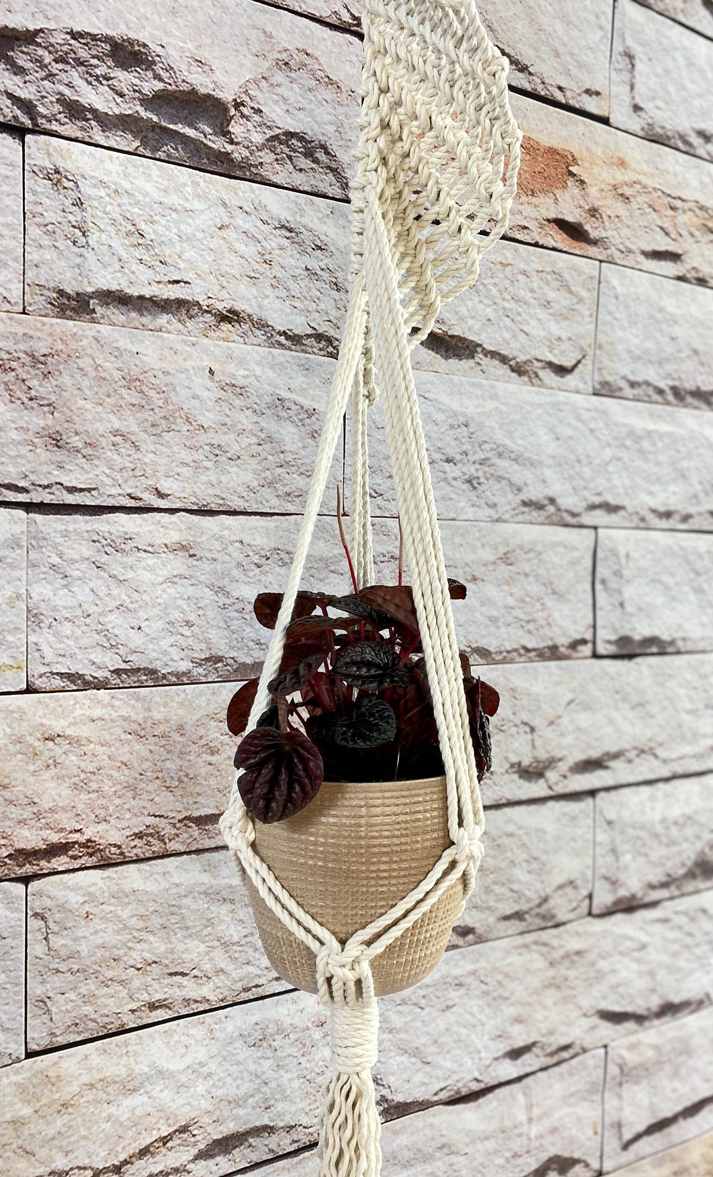 Macrame plant hanger with a plant against a stone wall.