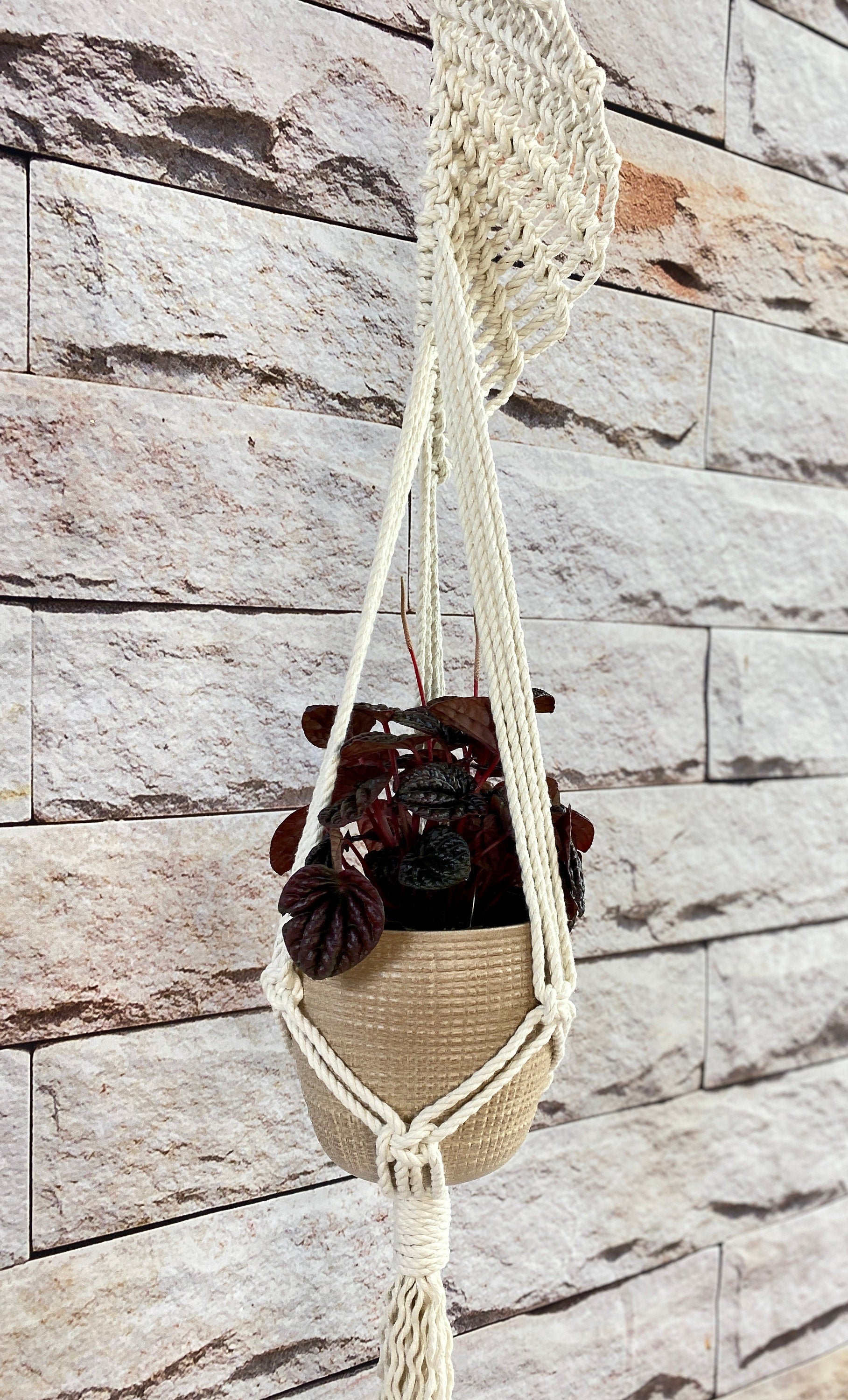Macrame plant hanger with a plant against a stone wall.