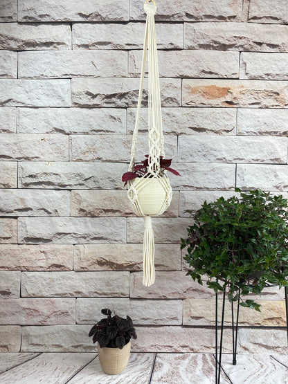 Macrame plant hanger with plants against a stone wall.